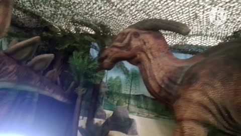 We saw dinosaurs,visited kids adventure in Perth,,,amazing