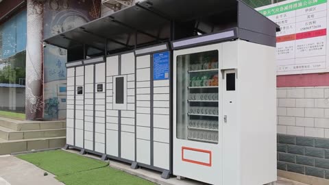 Outdoor Parcel Delivery Intelligent Controller Smart Storage Locker