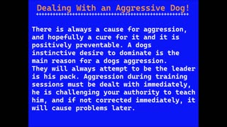 Dealing With an Aggressive Dog!