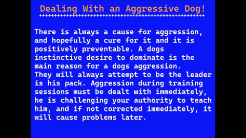 Dealing With an Aggressive Dog!