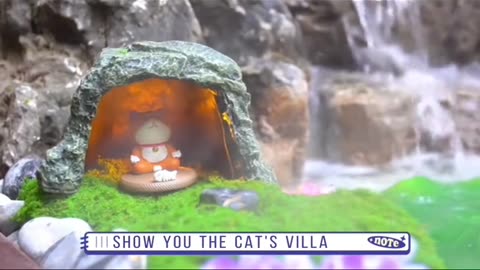 Show you the Cat's Villa