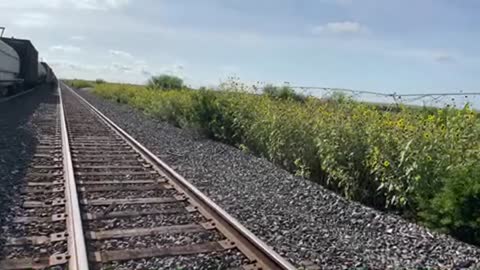 Searching Trains for Illegals