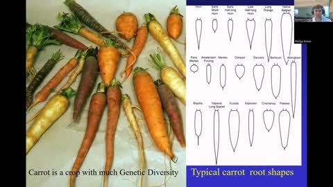 Interview 12 Dr Phillip Simon on Carrot and Garlic History and Breeding
