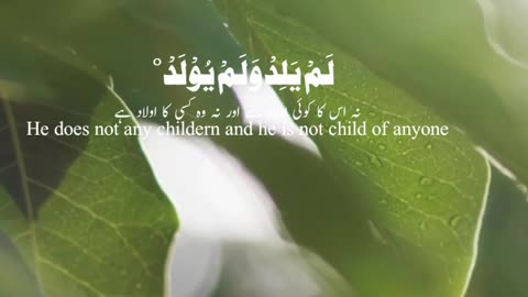 beautiful quran tilawat / beatutiful surah fatiah