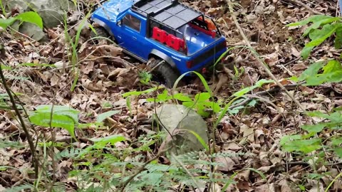 Woods Crawl with Connie and her Traxxas TRX4