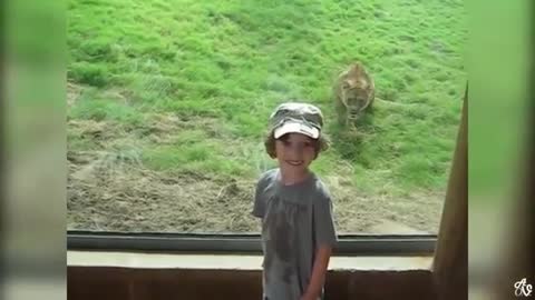 Kid is scared of sheep
