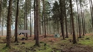 Woodland camping.22nd Jan 2023