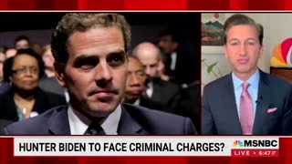 MSNBC Claims No Hint Of Corruption With Hunter Biden, Basically Admits They Live In An Echo Chamber