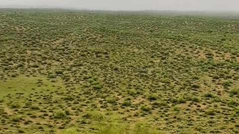 Bahawalpur desert beauty