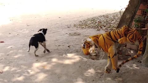 Wow! Nice fake tiger prank dogs!!! Pranking dogs run very funny! Try not to laugh 😂😂