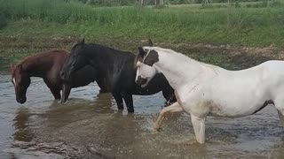 At the pond