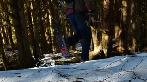 Another Sighting of the Same Large Dear Walking Up a Snowy Mountain Trail