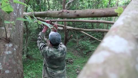 Making a house in Jungle