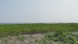 Jamaica Bay Wildlife Refuge