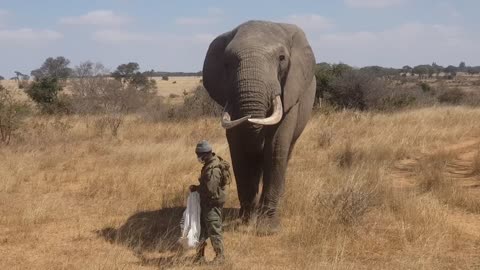 National Park - Iringa - Tanzania