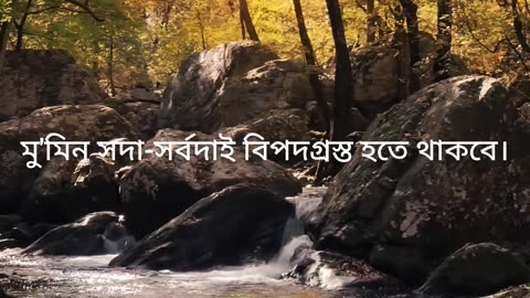 বাংলা হাদীস