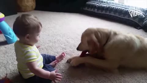 Cute Baby Playing With Dog