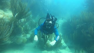 Scuba at Cooper's Island, Bermuda: July 2020
