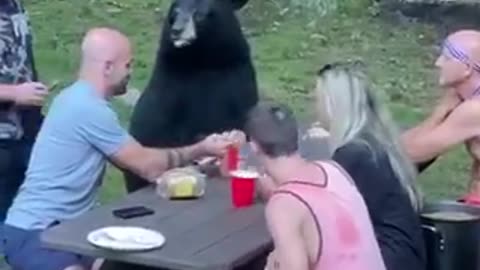 Bear invited for picnic breakfast | 🐻 ❤️