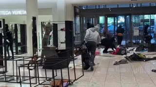 Mob of 30 robbers loots Nordstrom in Los Angeles, California