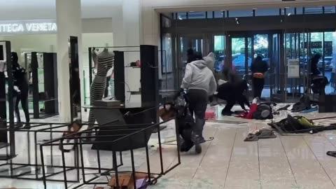 Mob of 30 robbers loots Nordstrom in Los Angeles, California