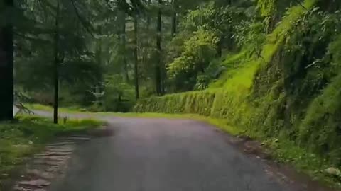 Road trip status nature status road sefty WhatsApp status 30sec status short video creator status