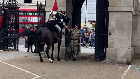 Queen’s Guard Horse Goes Crazy