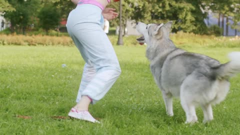 The Veterinary Visit Whisperer: Unleashing the Power of Training for Pet Comfort