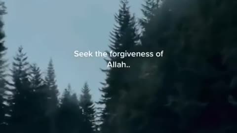 My brother's and sisters seek the forgiveness of Allah