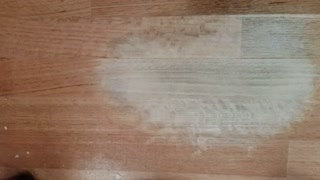 Step 9 cat urine removal from wood flooring