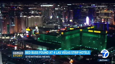 Bed bugs found at 4 popular hotels on Las Vegas Strip.