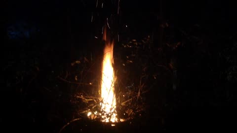 Beautiful fire in the dark