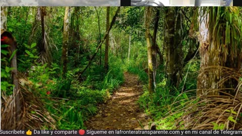 Un cubano cuenta porqué su vida cambió