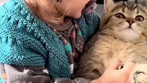 When a little girl hugs a cat😻😻