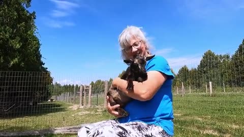 Cuddly baby goat adorably captures woman_s heart