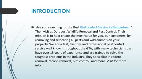 Are you searching for the Best Bird control Service in Georgetown?