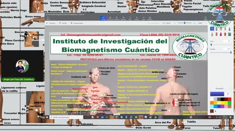 Protocolo para efectos secundarios de vacuna en Hígado (Biomagnetismo Cuántico)