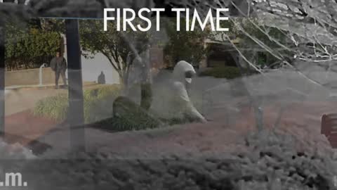 Pipe Bombers looks directly at camera