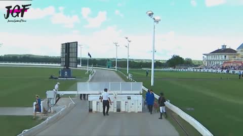 Greyhound dog racing - Track race 480m