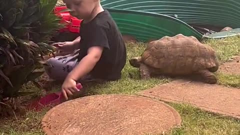 #Baby and #Turtle