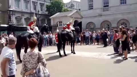Queen Guard Horse Went CrazyDuring Prade