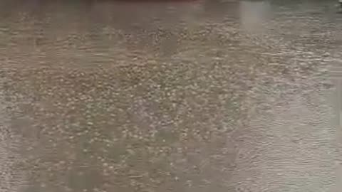 Rain In Rawalpindi | Rainfall | Weather Forecast Of Pakistan