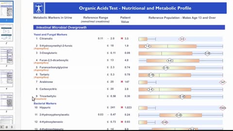 Organic Acids Test - Report Overview
