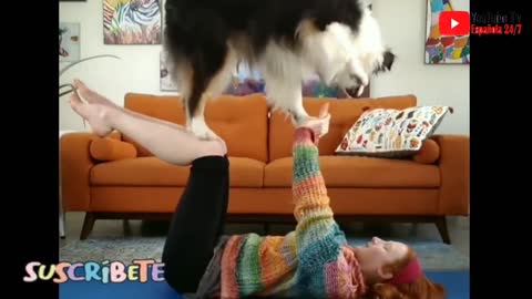 This Adorable Dog Doing Yoga With its Owner Will Make Your Day