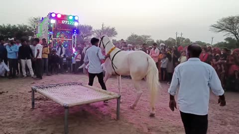 Let's see the horse dance in the village