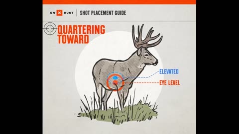 The "Deer Hunting Season: Tips and Tricks for a Successful Hunt" PDFs