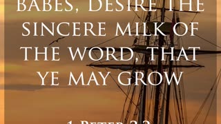 Daily Bible Verse - 1 Peter 2:2
