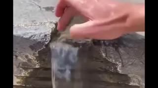 3000 YEAR OLD WATER CONTROL TECHNOLOGY