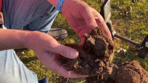 Penny Lane Metal Detecting With Minelab