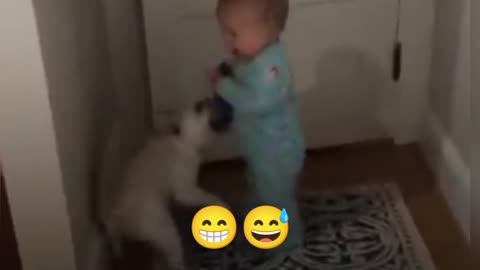 funny Babies ,funny dogs loving babies